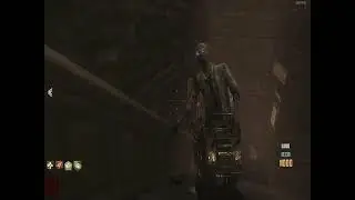 Zombeee | CoD BOII Zombies