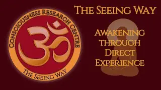 The Seeing Way ≡ Advaita