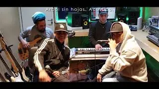La Roca Callejera, El Rodri - &Aacute;rbol Sin Hojas (Ac&uacute;stico)