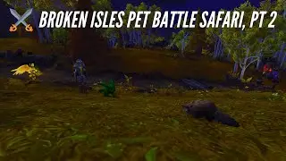 CozyAzeroth: Broken Isles Pet Battle Safari, Part 2 (World of Warcraft Live Stream)