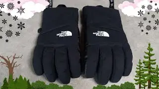Montana Ski Gloves from The North Face