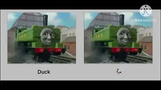 Which image of Duck was different?
