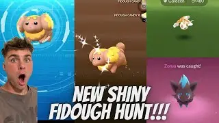 ✨NEW Shiny Fidough and Shiny Zorua Hunt LIVE In Pokemon Go!✨