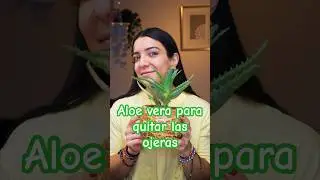 Probamos este remedio con aloe vera para las ojeras #tips #trucos #ojeras #aloevera #beauty