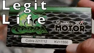 A Pack In The Life: Legit Wing - New Motor