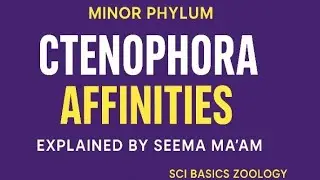 CTENOPHORA AFFINITIES//AFFINITIES OF CTENOPHORA//MINOR PHYLUM//MSC ZOOLOGY//NON CHORDATA.