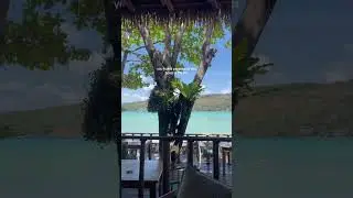 Tropical Days & Tranquil Stays: Coco Beach Resort, Koh Phi Phi