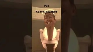 кто ты по зз из skibidi toilet