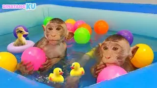 Luby Monyet Lucu Berenang di Kolam Renang Asyik Sekali