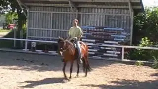 Reitstunden der 