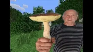 Minecraft alpha moment/Minecraft alpha be like: