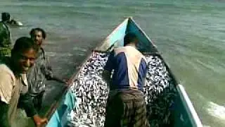 ‏{العــــــــــــطــــــــــيف} في سيحوت.mp4