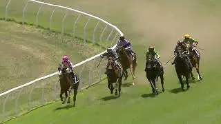 Wellington 26 12 2025 Race 1