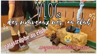 Vlog schleich - des nouveaux nés -