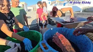 ΣΤΗΝ ΚΑΣΟ ΦΤΙΑΧΝΟΥΝ ΚΡΑΣΙ ΜΕ ΑΡΓΑΔΕΙΆ ΣΤΙΣ ΓΕΙΤΟΝΙΕΣ!