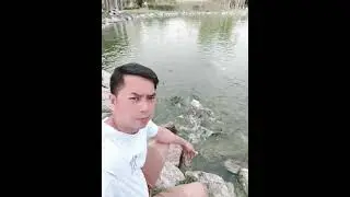 Thailand - Fish feeding at One of the biggest public Garden & Fishpond in Aranyaprathet Sakaeo 