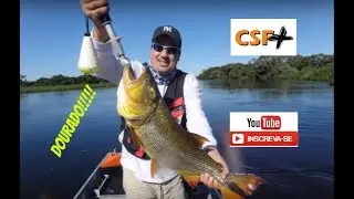 PESCA DE DOURADO COM ISCA ARTIFICIAL - PASSO DO LONTRA -MS