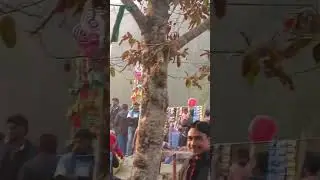 💯🥰🔥🤩 Mahadev Mela #new #viralvideo 