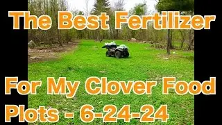 The Best Fertilizer For My Clover Food Plots