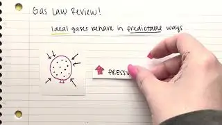 Gas Law Review