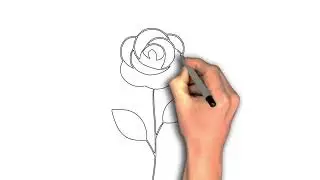 &ldquo;Rose Drawing Basics: Petals, Stem & Shape&rdquo;