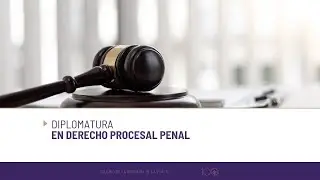 DIPLOMATURA EN DERECHO PROCESAL PENAL. Clase 20