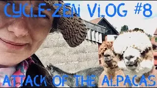 Cycle-Zen Vlog#8 - Volunteering on an Alpaca farm