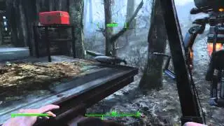 Two_Toes_Tony's Fallout Vacation