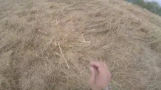 tried to get away