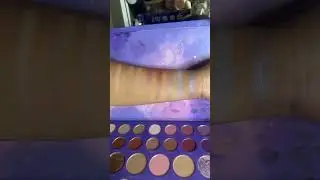 Swatches of Morphe X Pony Constellation sky palette
