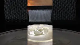 Microwave Vs Potato + Oil #microwave #microwavechallenge #satisfyingvideos #asmr #scienceexperiment