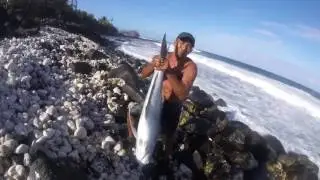 BigIsland style GT Plugging