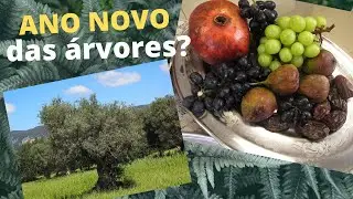 O Ano Novo das Árvores (Tu Bishvat)