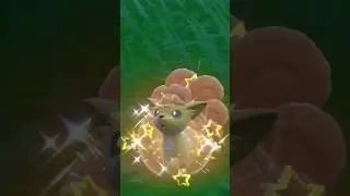 ✨️SHINY VULPIX✨️ #pokemon #shinypokemon #shinyhunting #pokemonscarletandvioletdlc #vulpix #shinyhunt