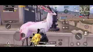 Pubg Mobile