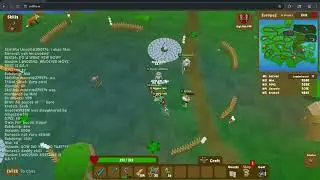 Invincibility glitch