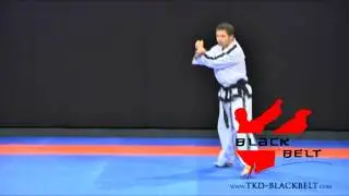 Hwa Rang Tul by Jaroslaw Suska
