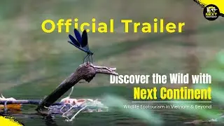 Official Trailer: Discover the Wild with Next Continent