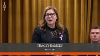 Tracey Ramsey, we're here to talk about political interference
