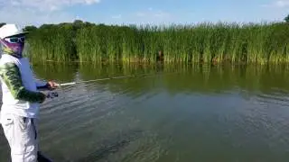 Spro Rat 50 July bass in MN