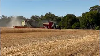 Harvest Days on the Farm | Western Australia 2025