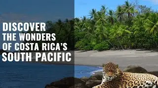 South Pacific Costa Rica - Lush Jungles, Deserted Beaches & Exotic Wildlife - 4K