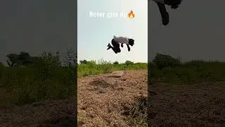 corkscrew flip🔥 don't give up 🤟#shorts #stunt #trending