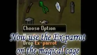 [RS] Ex-ex Parrot Guide