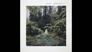 chrismith - uprooted trees vol. 2 [EP]