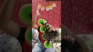 ILQ TWINCAM MINIMIZER BEARINGS FOR INLINE SPEED SKATING