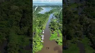 Amazon Rainforest: Earth&rsquo;s largest and most vital ecosystem.#amazon #rainforestcreatures #wildlife