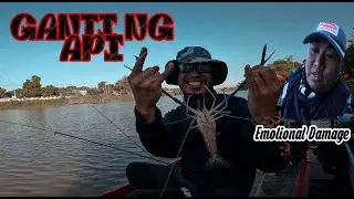 The Bayabas KING @wrenchedangler2844  aka (Boyong) ( Ep8 Y3åR2 )