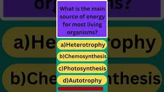 Quick Quiz Challenge: Test Your Worldly Knowledge!  #geoquiz #educationchallenge #quiz  #education