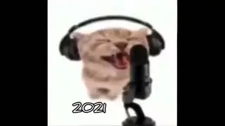 Cat Rap Evolution meme but its just a full version of 2021